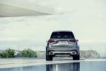 Mercedes-Benz GLS580 4Matic AMG Line 2019 года (WW)